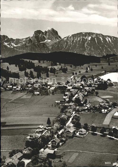 Seeg Fliegeraufnahme