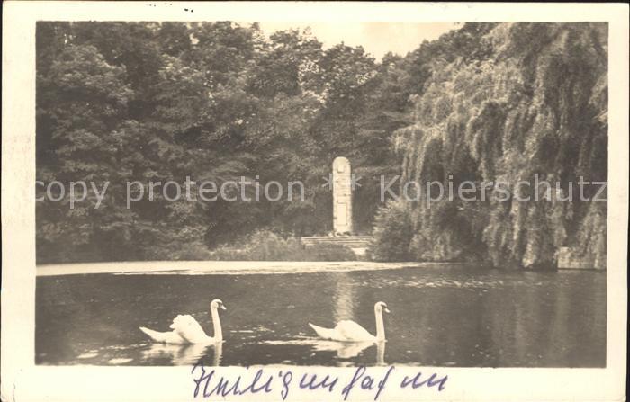 Heiligenhafen Ostseebad Stadtteich Schwaene