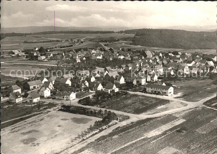 Presberg Rheingau Fliegeraufnahme