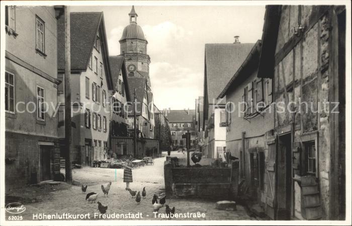Freudenstadt Traubenstrasse Huehner