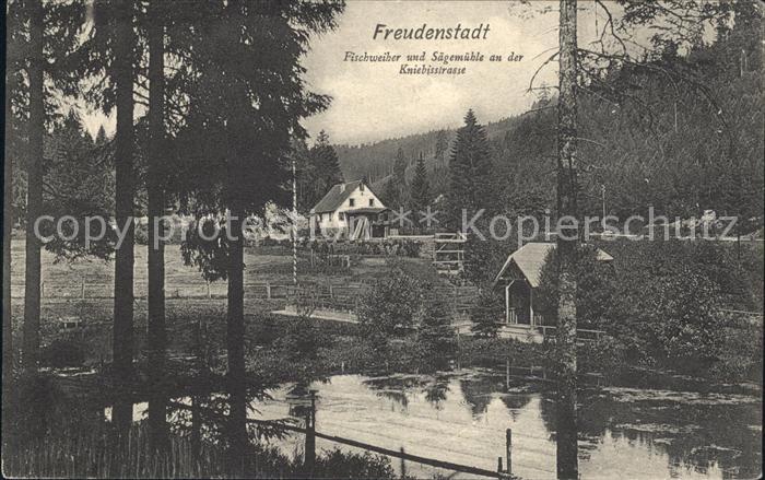 Freudenstadt Fischweiher und Saegemuehle
