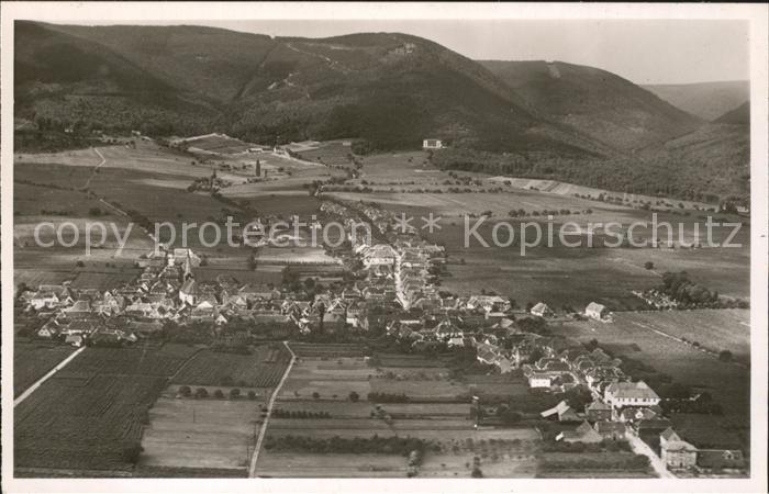 Rhodt Rietburg Fliegeraufnahme