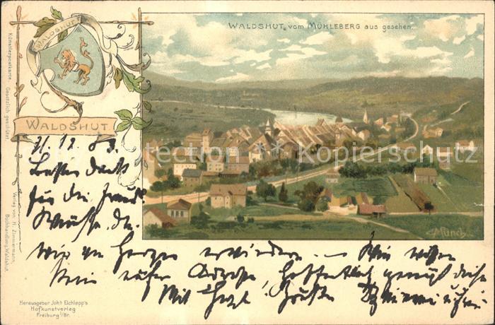 Waldshut Tiengen Rhein vom Muehleberg aus gesehen