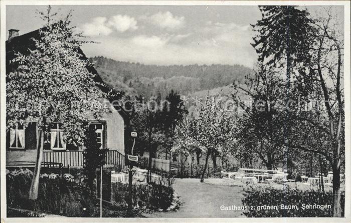 Sehringen Gasthaus zum gruenen Baum