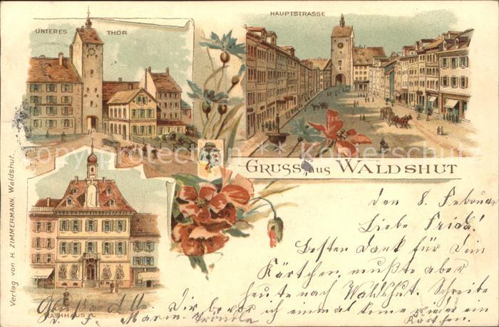 Waldshut Tiengen Rhein