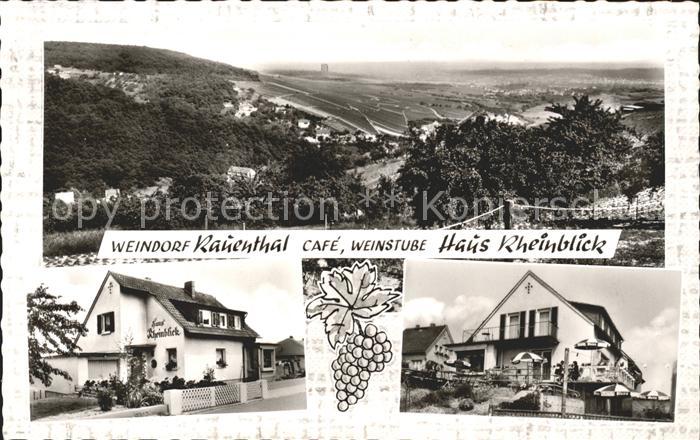Rauenthal Weinstube Cafe Haus Rheinblick