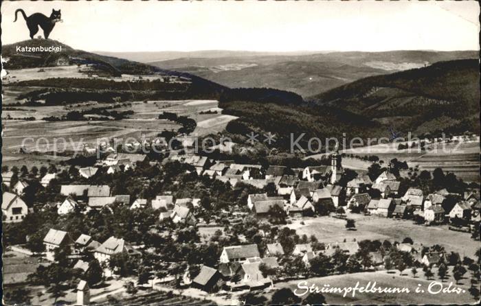 Struempfelbrunn Fliegeraufnahme mit Katzenbuckel