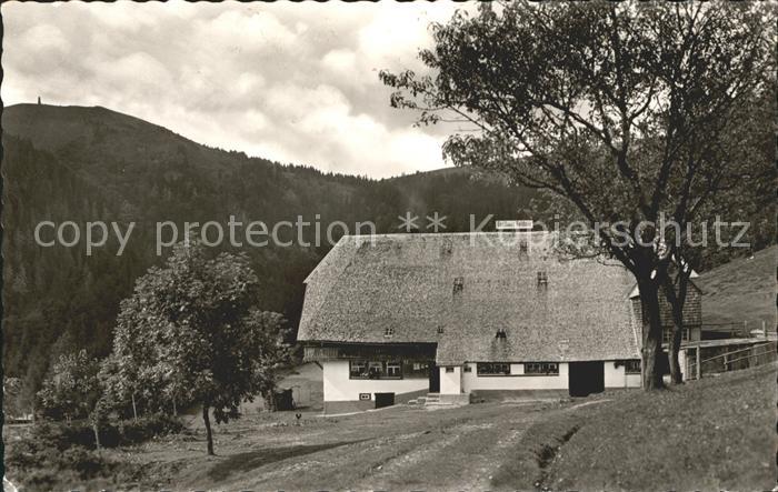 Feldberg Schwarzwald Gasthaus Feldsee