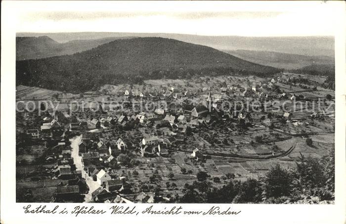 Esthal Fliegeraufnahme