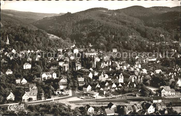 Mainz Rhein Fliegeraufnahme