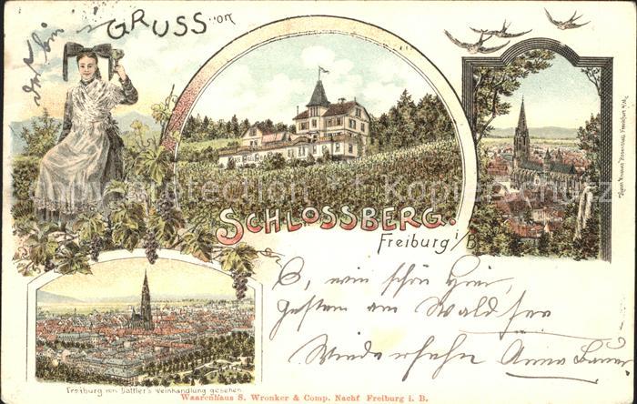 Freiburg Breisgau Schlossberg
