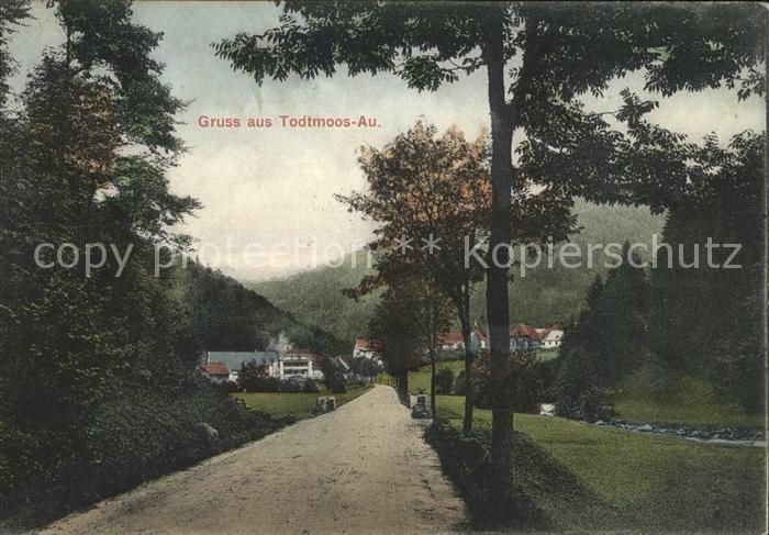 Todtmoos Au