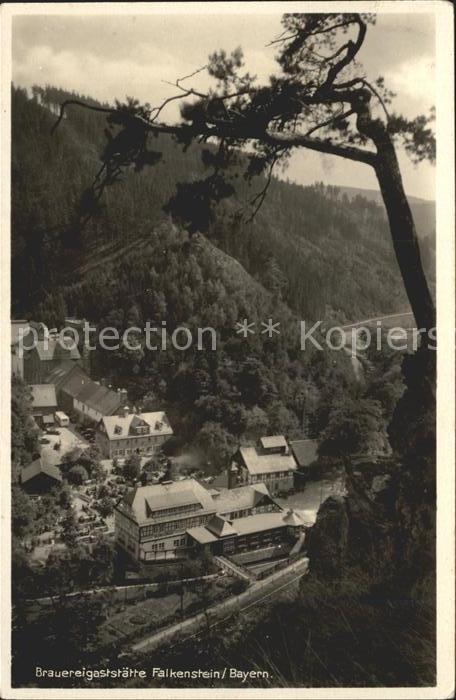 Falkenstein Oberpfalz