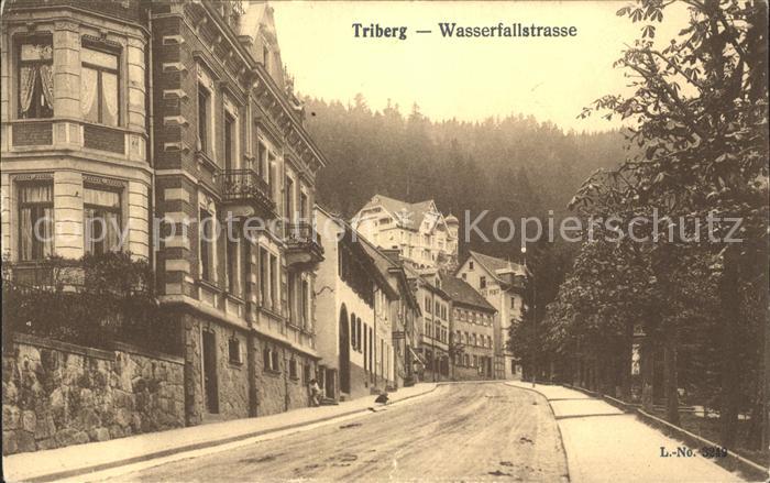 Triberg Schwarzwald Wasserfallstrasse