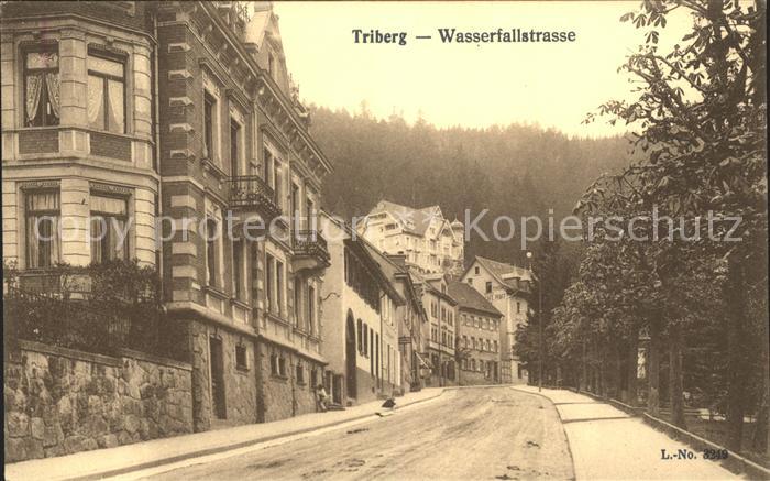 Triberg Schwarzwald Wasserfallstrasse