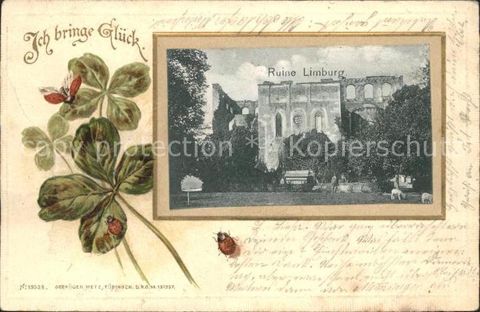 Limburg Lahn Ruine Limburg