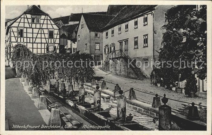 Beerfelden Odenwald Muemlingsquelle