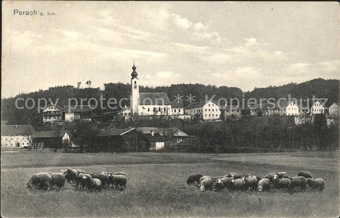 Perach Altoetting mit Schafherde