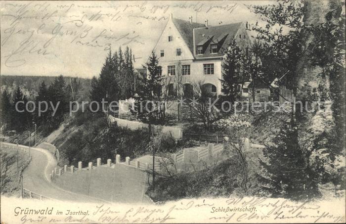 Gruenwald Muenchen im Isartal