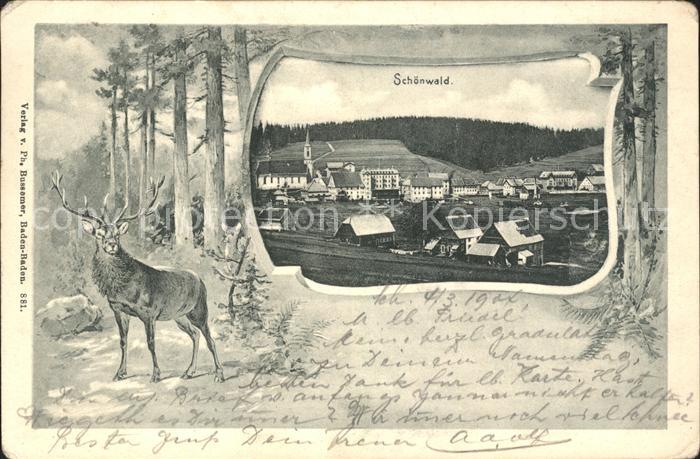 Schoenwald Schwarzwald mit Wild