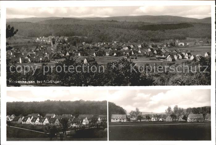 Frickenhausen Wuerttemberg Gesamtansichten