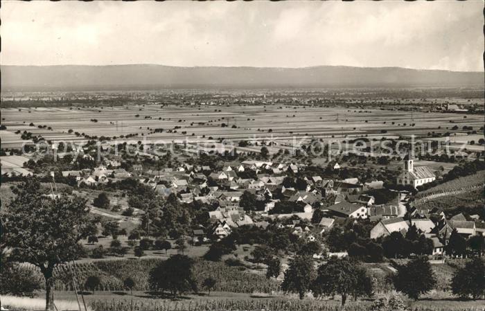 Auggen Panorama Groesster Weinort des Markgraeflerlandes