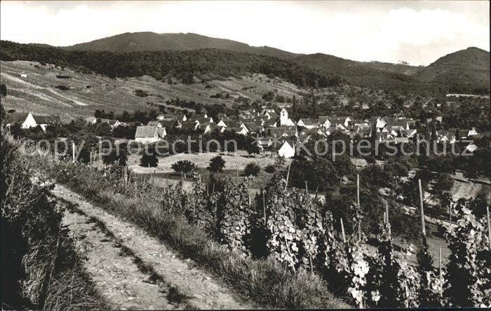 Muellheim Baden Gesamtansicht Weinberge Feldberg Schwarzwald