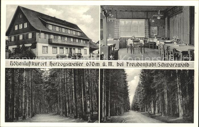 Herzogsweiler Gasthaus Pension zum Hirsch Waldpartie im Schwarzwald