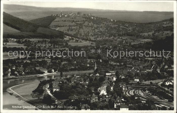 Neckargemuend Panorama mit Blick auf den Dilsberg