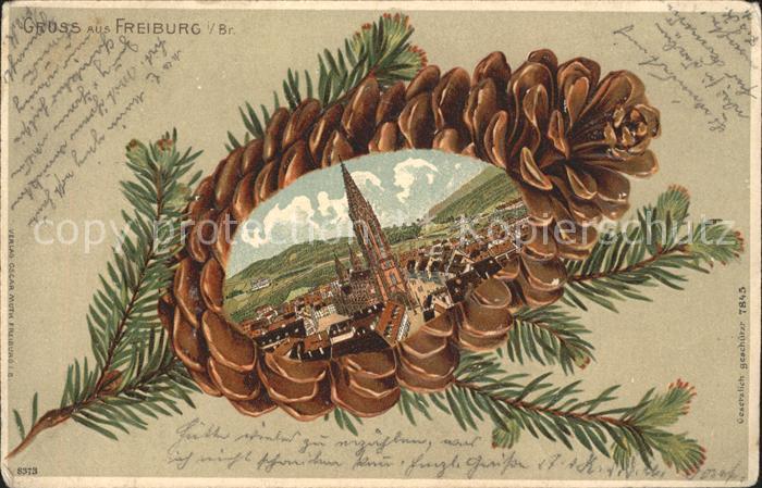 Freiburg Breisgau Durchblick zum Muenster Tannenzapfen