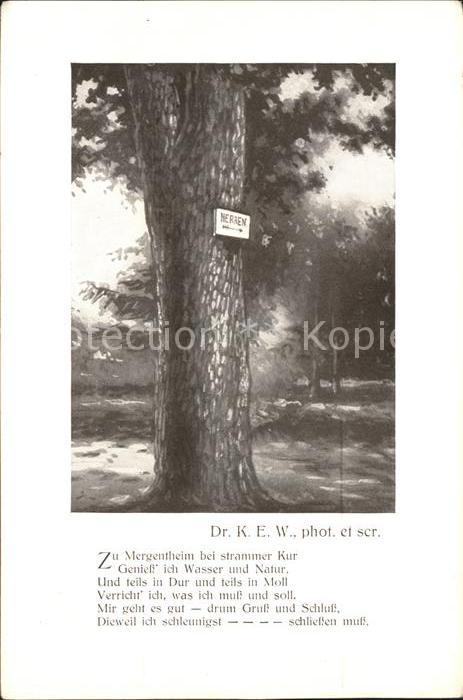 Bad Mergentheim Baum mit Herren Schild
