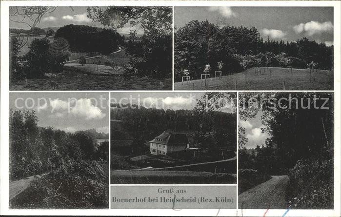 Heischeid Pension Bornerhof