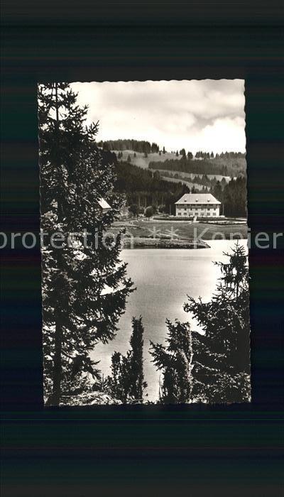 Seebrugg Hotel Schluchsee