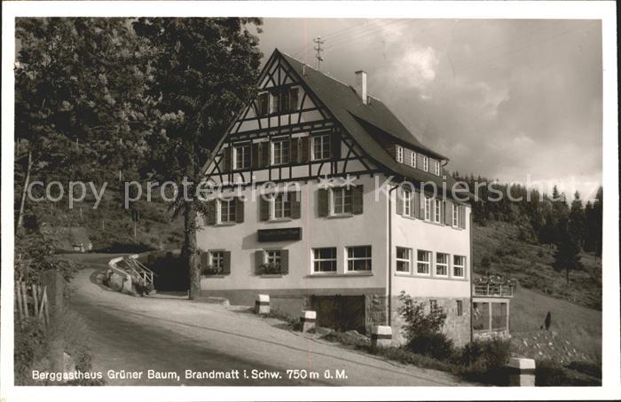 Brandmatt Schwarzwald Gasthaus gruener Baum
