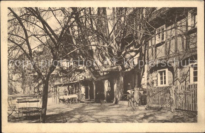 Hirschfelde Zittau Forsthaus Burg Rohnau Neisstal