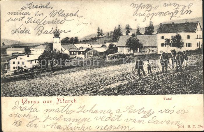 March Niederbayern Bauer mit Pferden Dorfpartie