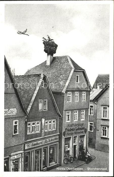 Nidda Stadtpartie mit Storchennest