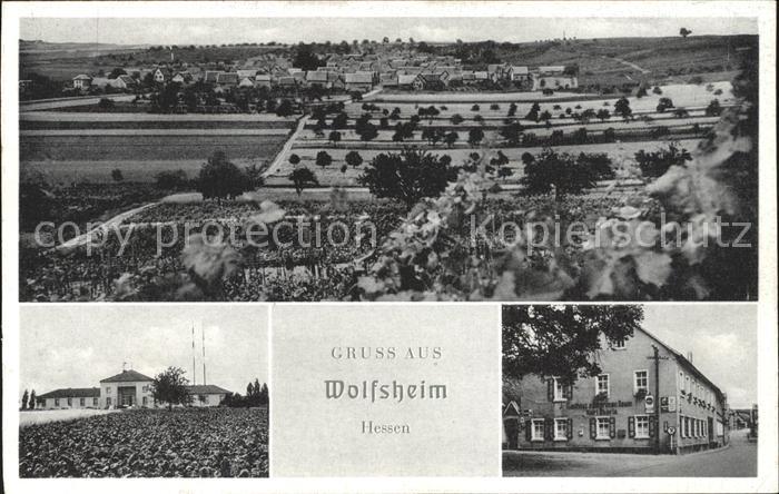 Wolfsheim Gasthaus zum gruenen Baum