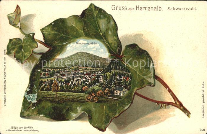 Herrenalb Bad Herrenalb Efeublatt Wurstberg Blick von der Villa u. Sanatorium Hu