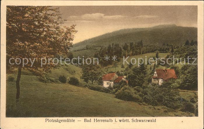 Herrenalb Bad Herrenalb Plotzsaegemuehle