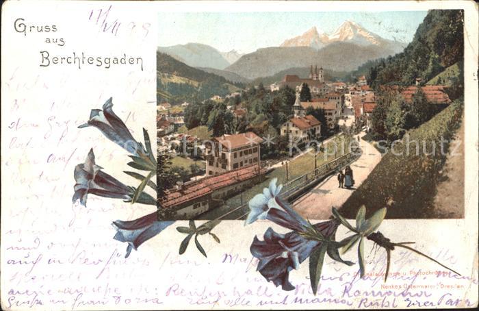 Berchtesgaden Glockenblume