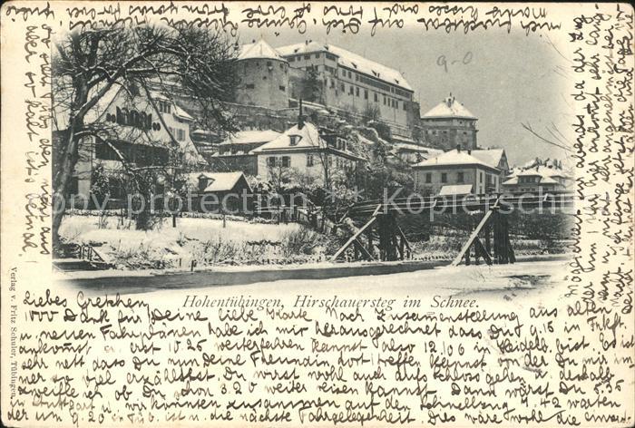 Tuebingen Hirschauersteg im Schee