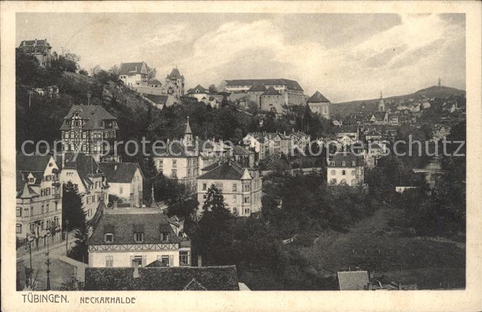 Tuebingen Neckarhalde