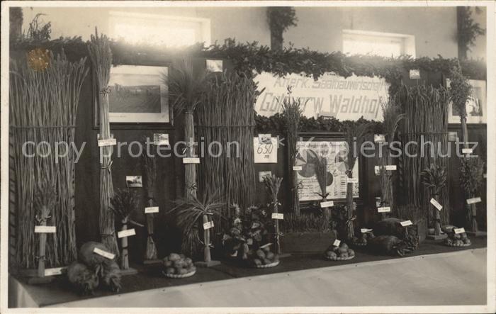 Balingen Anerk. Saalbauwirtschaft Waldhof