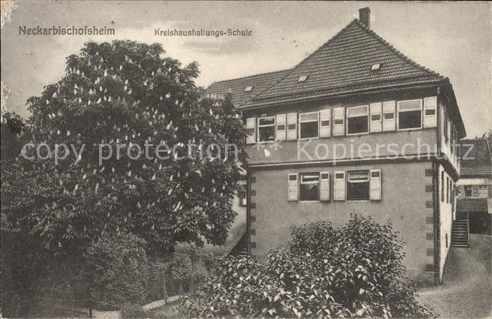 Neckarbischofsheim Kreishaushaltungsschule