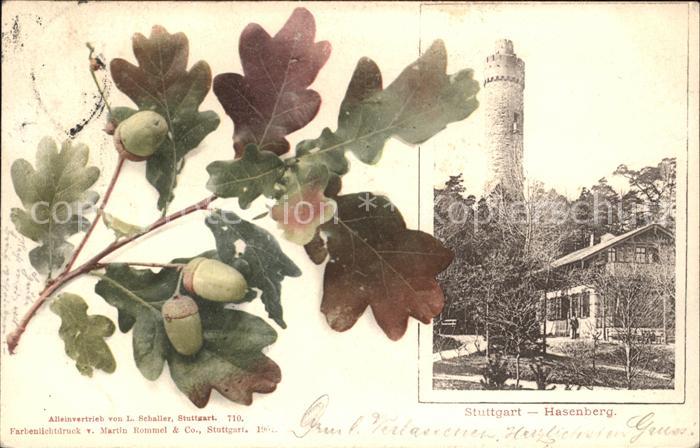 Stuttgart Hasenberg Eichelbaum