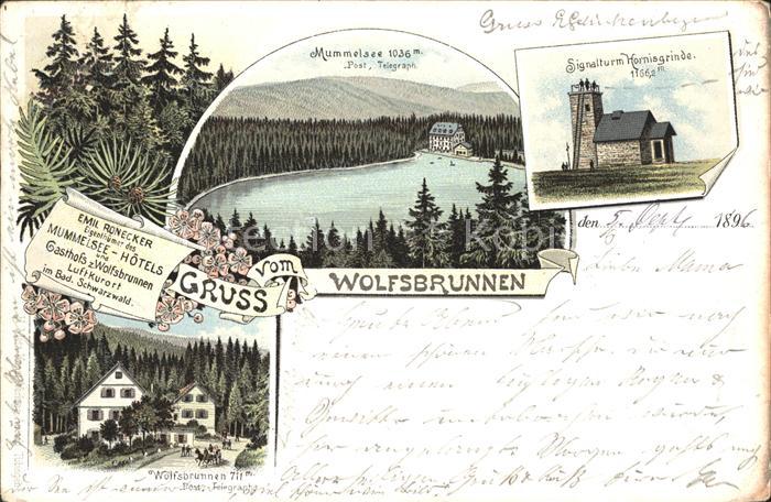 Wolfsbrunnen Seebach Mummelsee Post Telegraf Signalturm Wolfsbrunnen