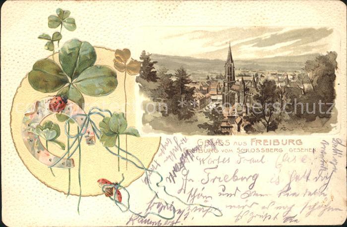 Freiburg Breisgau Schlossberg