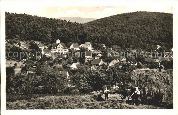 Waldhilsbach Gasthaus zum Roessl