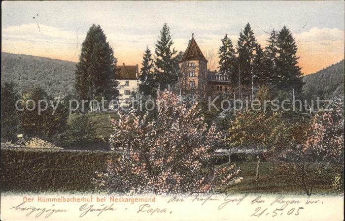 Neckargemuend Kuemmelbacherhof